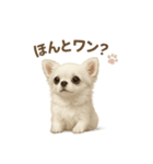 子イヌverチワワ（個別スタンプ：18）
