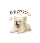 子イヌverチワワ（個別スタンプ：19）