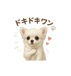 子イヌverチワワ（個別スタンプ：20）
