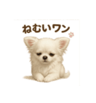 子イヌverチワワ（個別スタンプ：23）