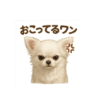 子イヌverチワワ（個別スタンプ：24）