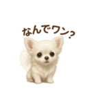 子イヌverチワワ（個別スタンプ：26）