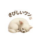子イヌverチワワ（個別スタンプ：29）