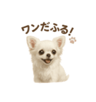 子イヌverチワワ（個別スタンプ：32）