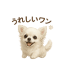 子イヌverチワワ（個別スタンプ：36）