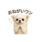 子イヌverチワワ（個別スタンプ：37）