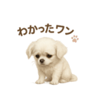子イヌverチワワ（個別スタンプ：40）