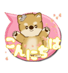柴犬 2025 「カラフルな吹き出し」（個別スタンプ：2）