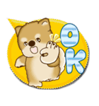 柴犬 2025 「カラフルな吹き出し」（個別スタンプ：3）