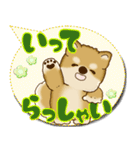 柴犬 2025 「カラフルな吹き出し」（個別スタンプ：6）