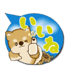 柴犬 2025 「カラフルな吹き出し」（個別スタンプ：7）