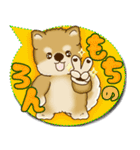 柴犬 2025 「カラフルな吹き出し」（個別スタンプ：8）