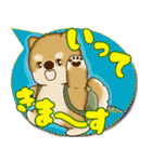 柴犬 2025 「カラフルな吹き出し」（個別スタンプ：10）