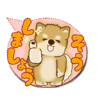 柴犬 2025 「カラフルな吹き出し」（個別スタンプ：11）