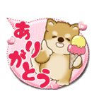 柴犬 2025 「カラフルな吹き出し」（個別スタンプ：12）