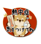 柴犬 2025 「カラフルな吹き出し」（個別スタンプ：13）