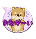 柴犬 2025 「カラフルな吹き出し」（個別スタンプ：15）