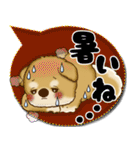 柴犬 2025 「カラフルな吹き出し」（個別スタンプ：17）