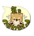 柴犬 2025 「カラフルな吹き出し」（個別スタンプ：19）
