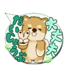 柴犬 2025 「カラフルな吹き出し」（個別スタンプ：20）