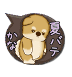 柴犬 2025 「カラフルな吹き出し」（個別スタンプ：22）