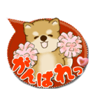 柴犬 2025 「カラフルな吹き出し」（個別スタンプ：23）
