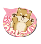 柴犬 2025 「カラフルな吹き出し」（個別スタンプ：24）