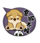 柴犬 2025 「カラフルな吹き出し」（個別スタンプ：26）