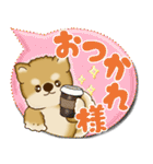 柴犬 2025 「カラフルな吹き出し」（個別スタンプ：27）