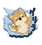 柴犬 2025 「カラフルな吹き出し」（個別スタンプ：30）