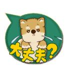 柴犬 2025 「カラフルな吹き出し」（個別スタンプ：31）