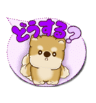柴犬 2025 「カラフルな吹き出し」（個別スタンプ：33）