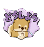 柴犬 2025 「カラフルな吹き出し」（個別スタンプ：34）