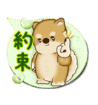柴犬 2025 「カラフルな吹き出し」（個別スタンプ：35）