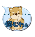 柴犬 2025 「カラフルな吹き出し」（個別スタンプ：37）
