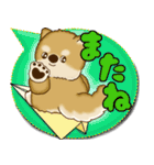 柴犬 2025 「カラフルな吹き出し」（個別スタンプ：39）