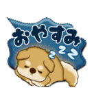柴犬 2025 「カラフルな吹き出し」（個別スタンプ：40）