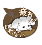 うさぎさん 2025 「カラフルな吹き出し」（個別スタンプ：25）