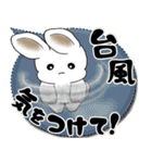 うさぎさん 2025 「カラフルな吹き出し」（個別スタンプ：29）