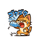 ツンデレ猫スネ吉の毎日スタンプ7（個別スタンプ：19）