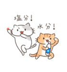 夏と日常ねこ（個別スタンプ：1）
