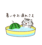 夏と日常ねこ（個別スタンプ：2）