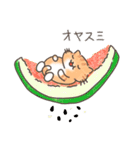 夏と日常ねこ（個別スタンプ：12）