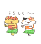 夏と日常ねこ（個別スタンプ：14）