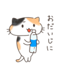 夏と日常ねこ（個別スタンプ：20）