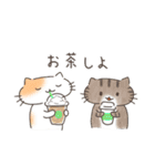 夏と日常ねこ（個別スタンプ：23）