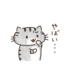 夏と日常ねこ（個別スタンプ：25）