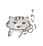 夏と日常ねこ（個別スタンプ：28）