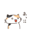 夏と日常ねこ（個別スタンプ：29）