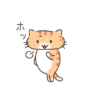 夏と日常ねこ（個別スタンプ：31）
